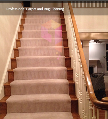 Carpet Cleaning Services